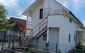 Casa De Vacanta Alina